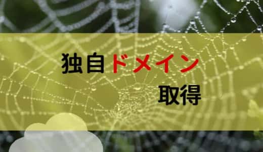 ドメイン