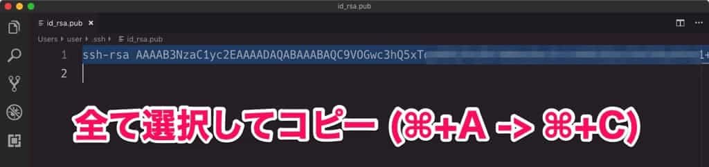 公開鍵中身